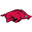 Arkansas Razorbacks