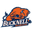 Bucknell Bison