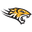 Towson Tigers