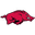 Arkansas Razorbacks