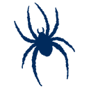 Richmond Spiders