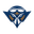 Tennessee-Martin Skyhawks