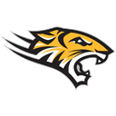 Towson Tigers